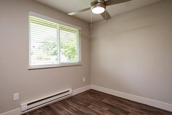 Ceiling fan